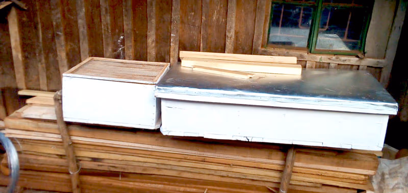Beehive photo 3